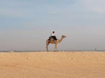 Side profile of a man riding a camel