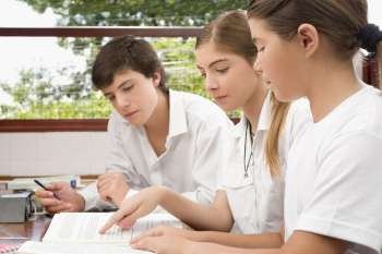 Two schoolgirls and a schoolboy studying together in a classroom