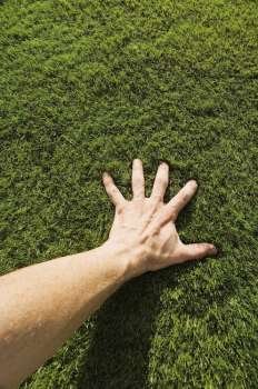 High angle view of a person´s hand touching grass