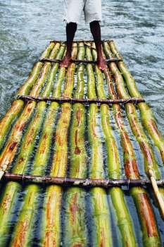 A bamboo raft is seen floating down the Martha Brae River, Jamaica