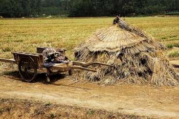 Cart near a haystack in a field, Zhigou, Shandong Province, China