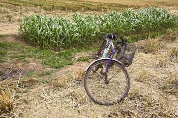 Bicycle in a field, Zhigou, Shandong Province, China