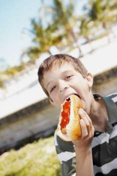 Portrait of a boy eating a hot dog
