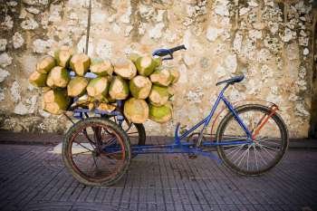 Coconuts in a rickshaw, Santo Domingo, Dominican Republic