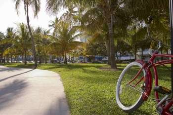 Close-up of a bicycle near a road, South Beach, Miami Beach, Florida, USA