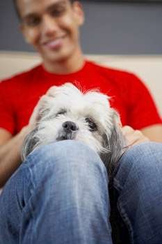 Close-up of a dog lying on a young man´s thigh