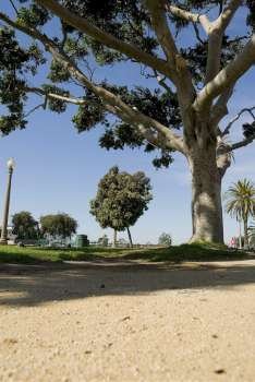 Park in Santa Monica, California
