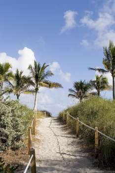 Railing on both sides of a path, South Beach, Miami, Florida, USA