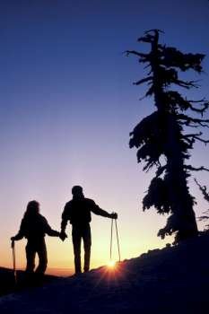 Skiers enjoying scenic view