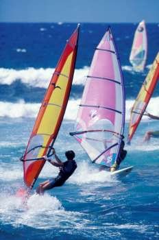 Adventurous windsurfers windsurfing together on waves on ocean