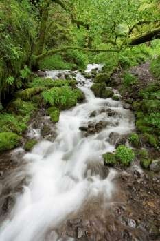 Blurred motion stream splashing over rocks in remote wooded area