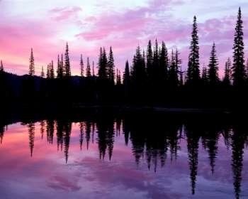 Sunset over tranquil lake and silhouetted trees in forest
