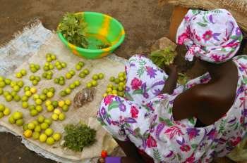 African market bird view lemon limes and colorful dress woman   