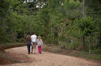 People walking along pathway in Mountain Pine Ridge Reserve in Belize