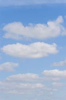 A blue sky filled with perfect fluffy cumulus clouds