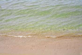The sandy seashore with coming wave of green water..
