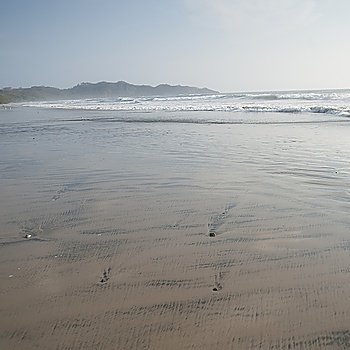 Beach along coastline in Costa Rica