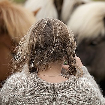 Icelandic horses with girl in braids