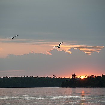 Sunset horizon over Lake of the Woods, Ontario