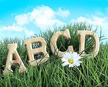 ABC letters with daisy in grass