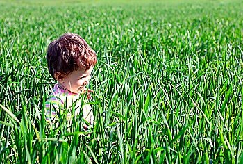 baby walking in high green grass field