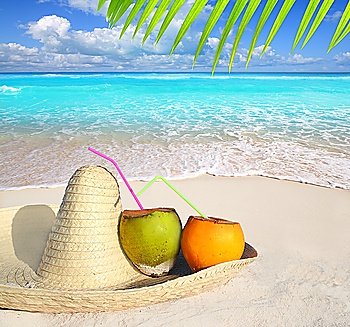 Coconuts in Caribbean beach on mexico sombrero hat tropical turquoise