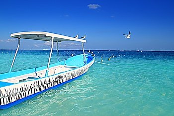 blue boat seagulls Caribbean in  turquoise sea