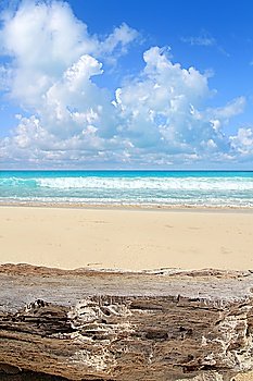 Caribbean tropical beach from weathered limestone on sea