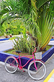 bicycle pink in caribbean tropical Mexico vivid colors Mayan Riviera