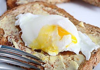 A nice fresh egg, poached, on brown toast