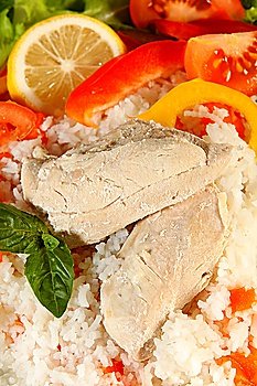 Boiled chicken and rice with salad vegetables, a meal suitable for a strict low-fat diet or for medical conditions such as diabetes or pancreatitis.