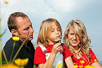 Young family in a meadow - the girl kid blowing dandelion seeds