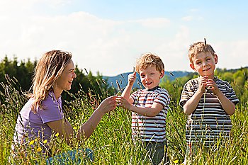 Mother with two little boys playing in the grass on a summer meadow