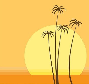 Vector illustration of   the sun is going down over the ocean and the palm beach.