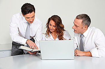 Business team working in the office