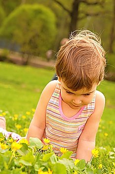 little girl looks on yellow flower on lawn