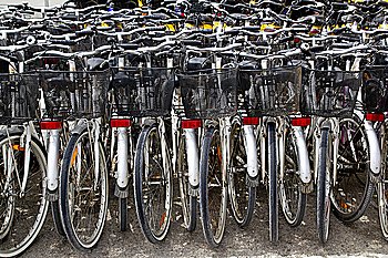 bicycles renting shop pattern rows parking in balearic islands