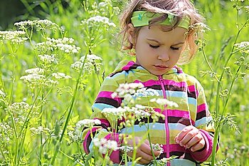 little girl on glade among flowers