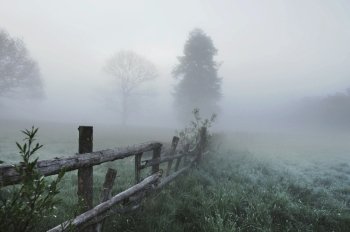 Misty landscape.