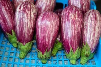 eggplant vegetables in a row on market basket