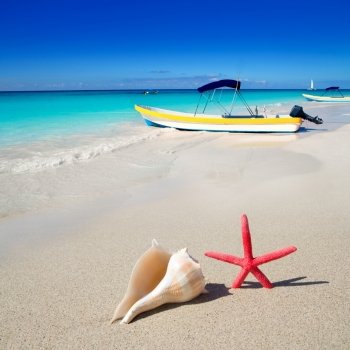 beach starfish and seashell with tropical boat in turquoise sea