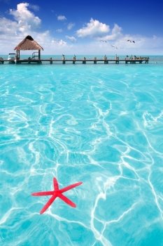 Starfish as summer vacation symbol in tropical beach with turquoise water