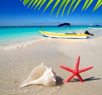 beach starfish and seashell with tropical boat in turquoise sea