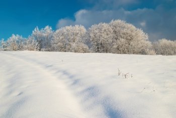 Winter icy landscape with bright shining day