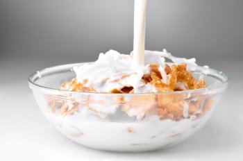 milk stream flowing to the bowl with corn flakes