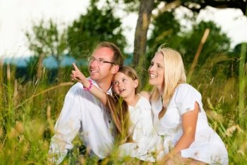 Happy family with daughter girl sitting in a meadow in summer