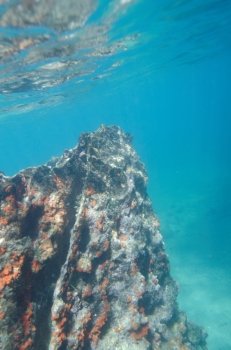 Underwater scene at Bartolome island, Galapagos Islands, Ecuador