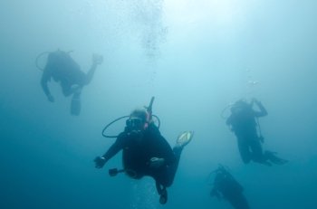 Scuba divers swimming underwater, San Cristobal Island, Galapagos Islands, Ecuador