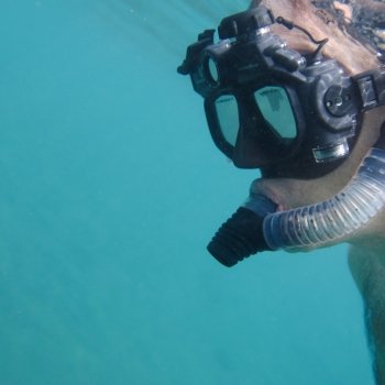 Scuba diver swimming underwater, Puerto Egas, Santiago Island, Galapagos Islands, Ecuador