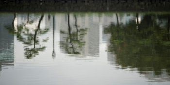 Reflection of trees in water, Kokyo Gaien, Imperial Palace, Tokyo, Japan
